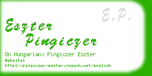 eszter pingiczer business card